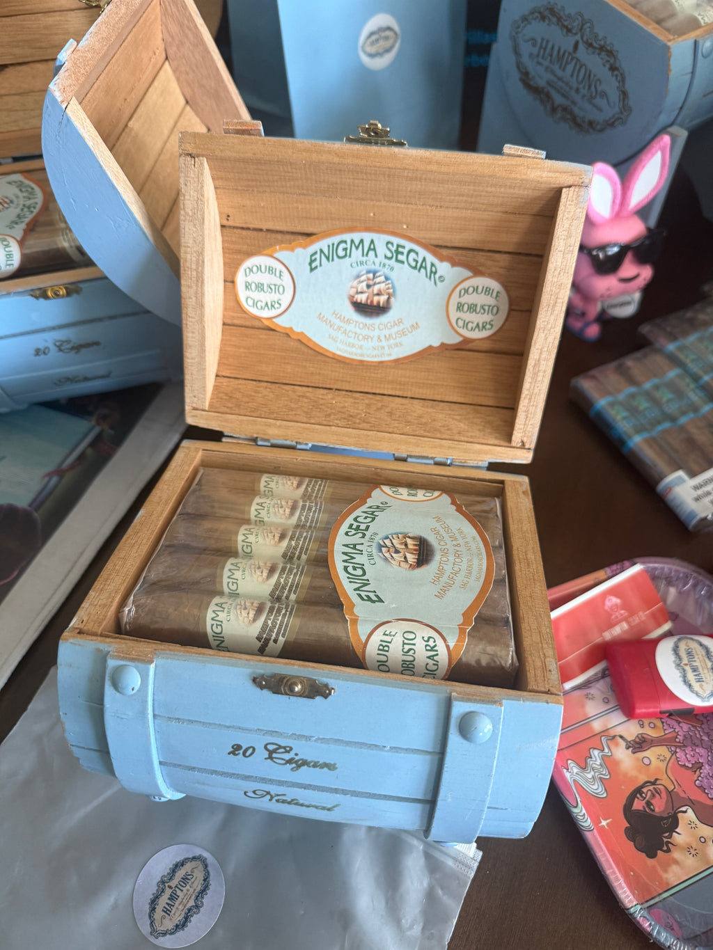 Enigma Segar - Pack of 20