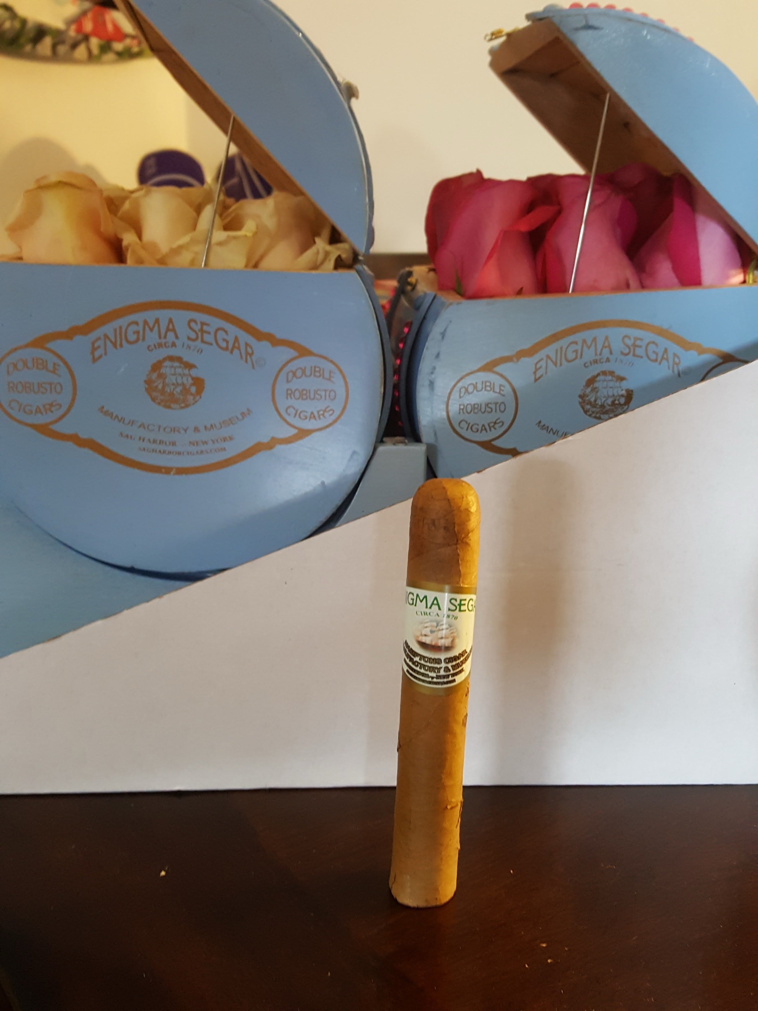 Enigma Segar - Pack of 20