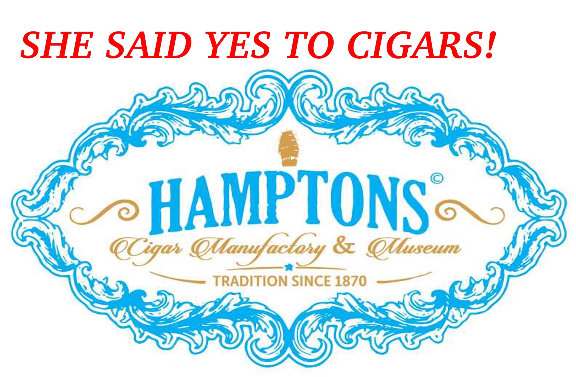 Enigma Segar - Pack of 20