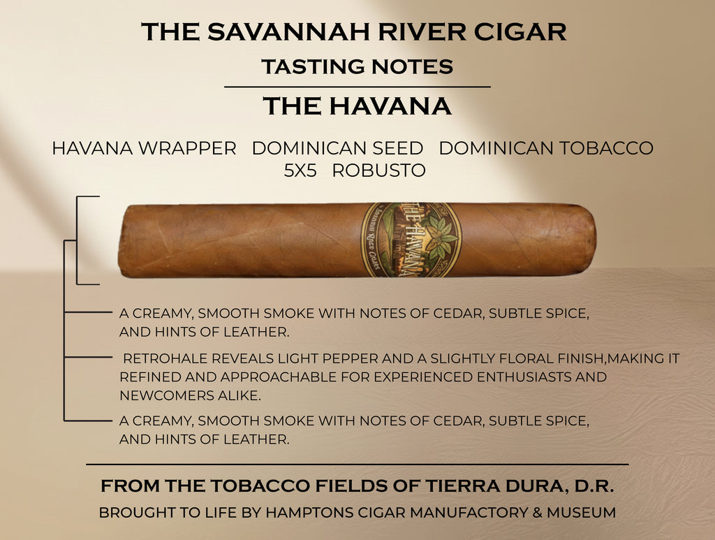 The HAVANA - 5 Pack
